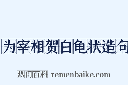 为宰相贺白龟状造句是什么意思的图片